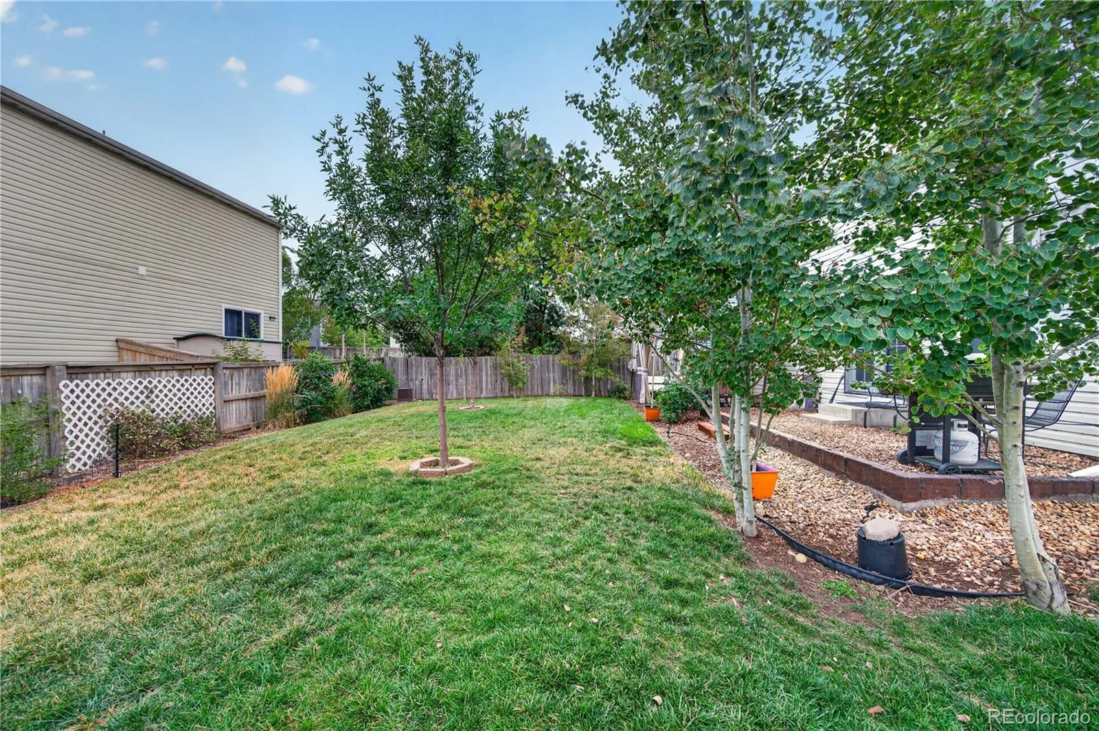 1454 Goldeneye Lane Brighton CO 80601 | MLS #REC2849673 08122026145731 1600 31
