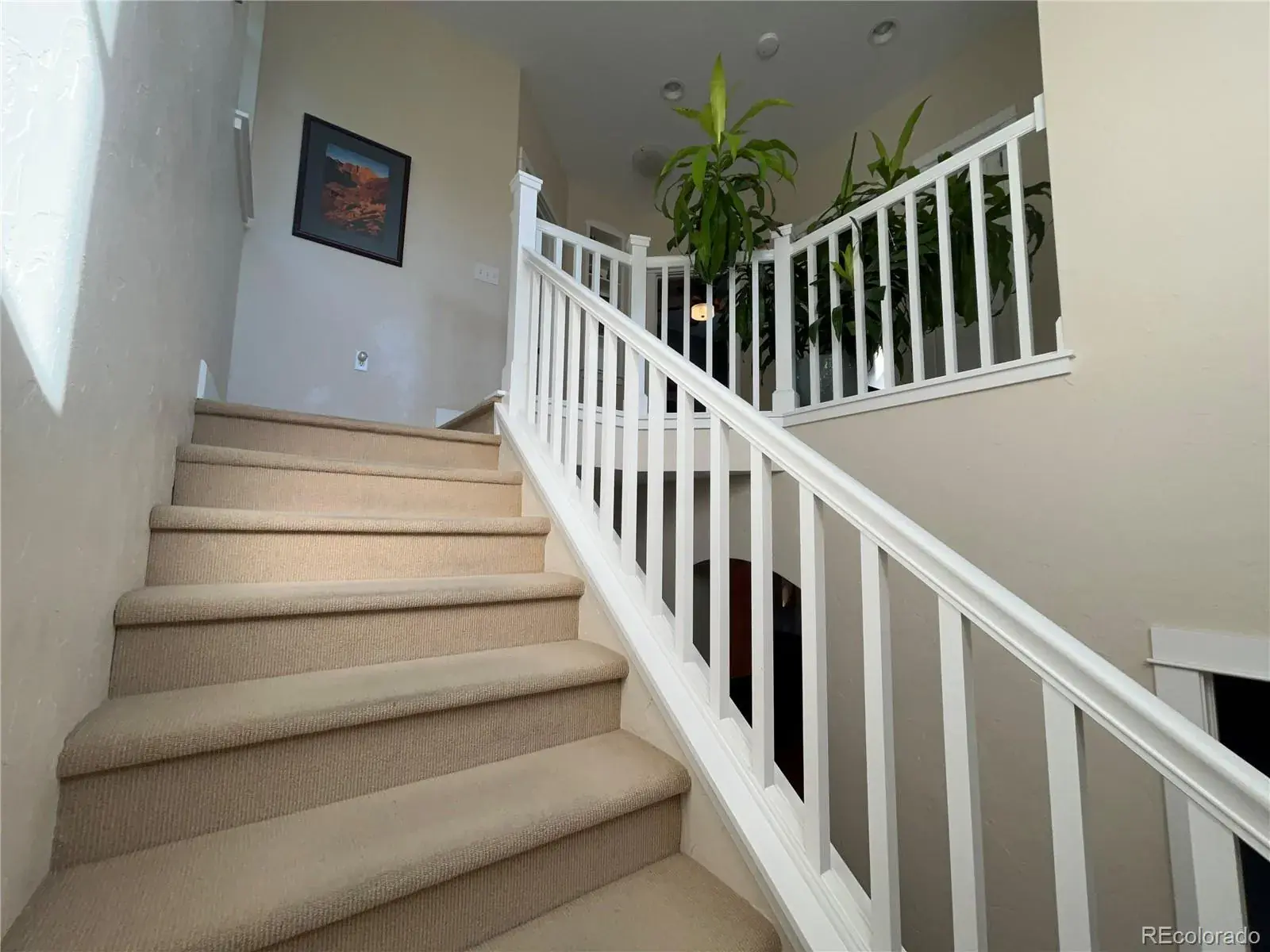 10252025170243 1600 10