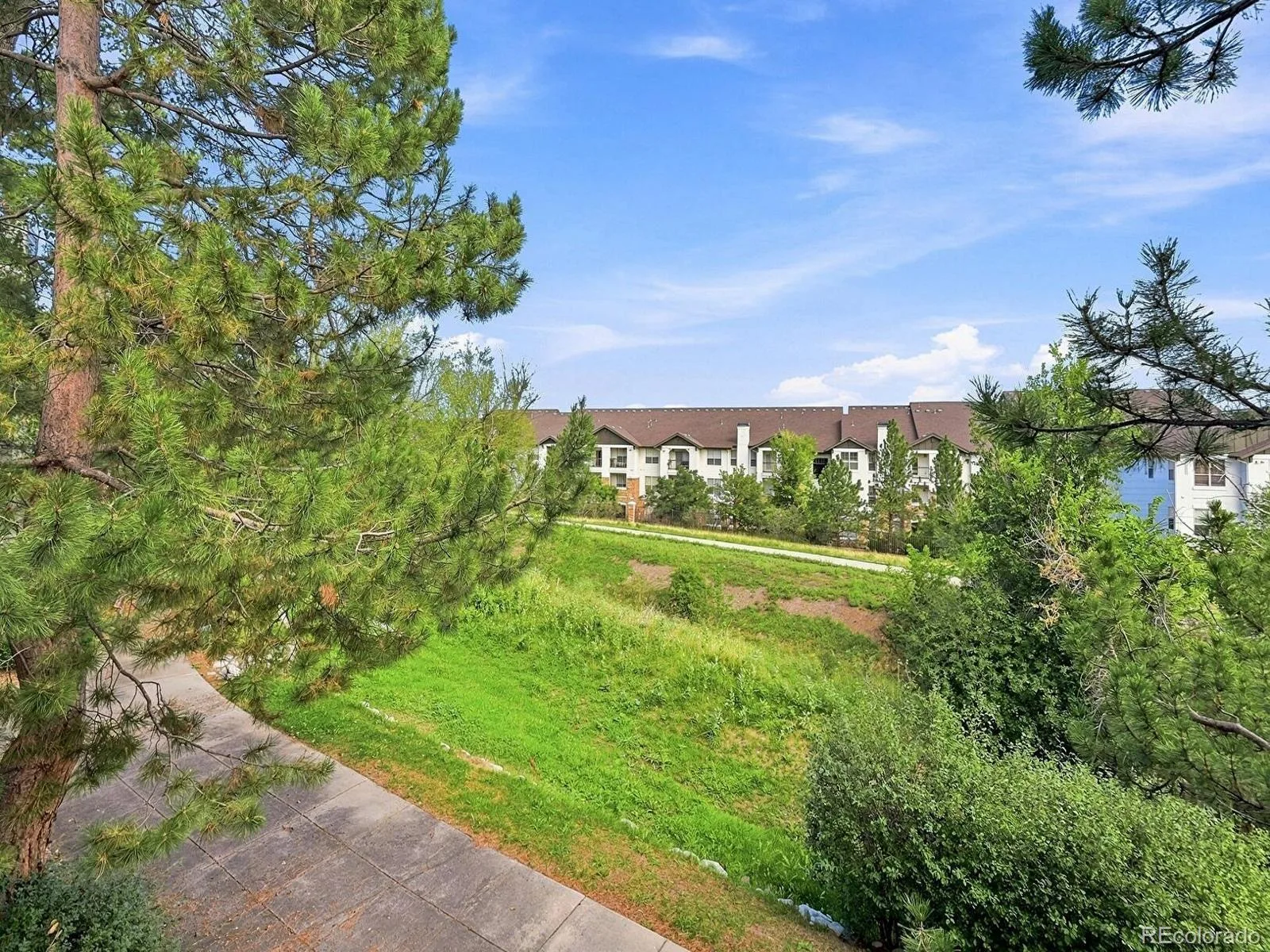 14499 1st. Drive Aurora CO 80011 | MLS #REC2864551 10062026233226 1600 23
