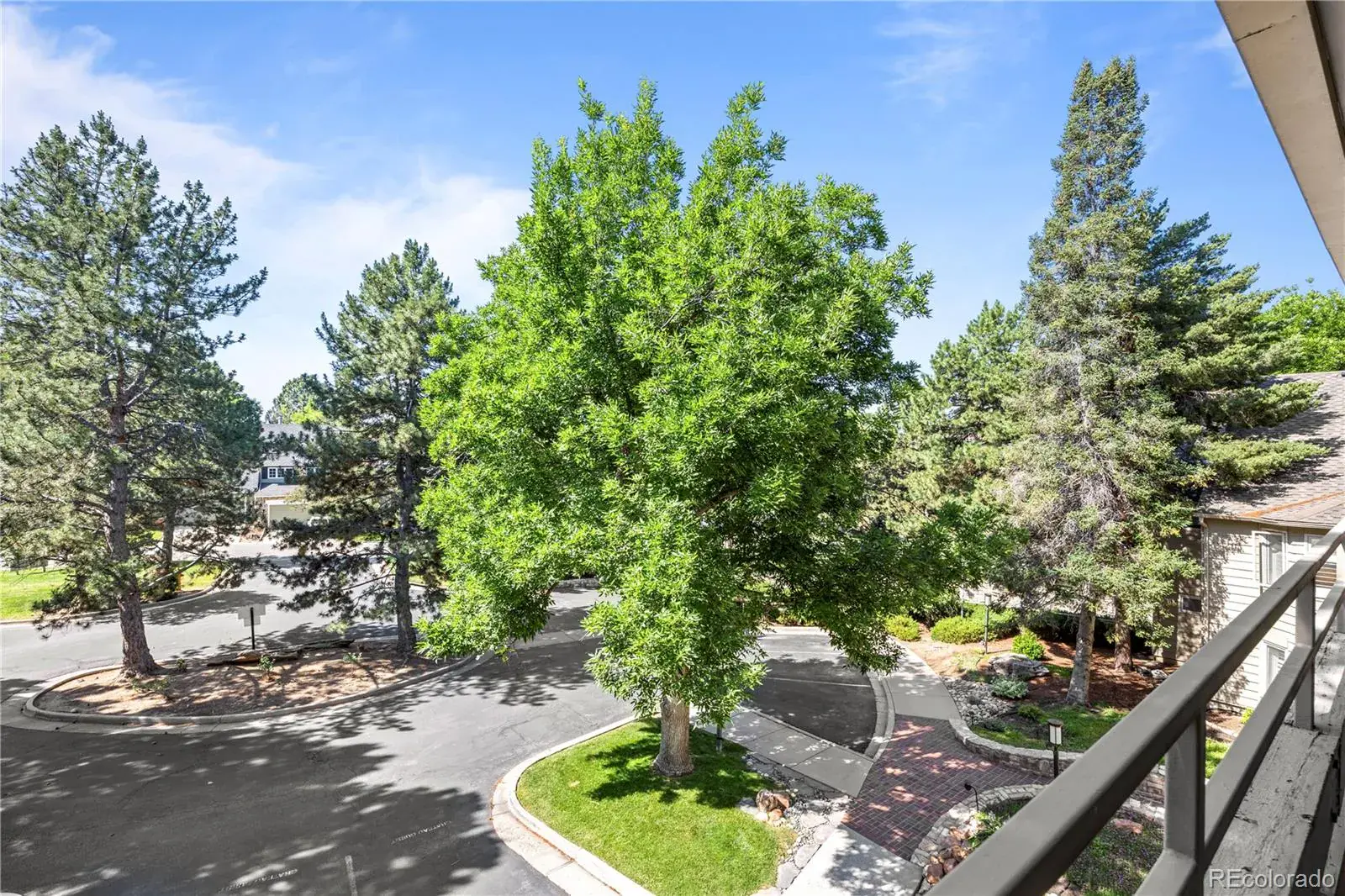 02262026190304 1600 28