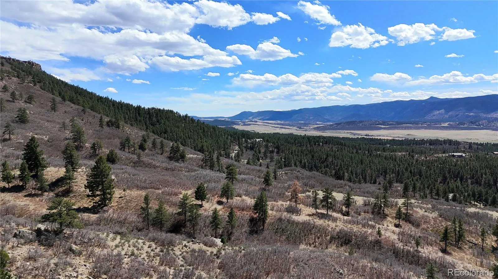 001 Perry Park Road Sedalia CO 80135 | MLS #REC2882410 04142026204228 1600 1
