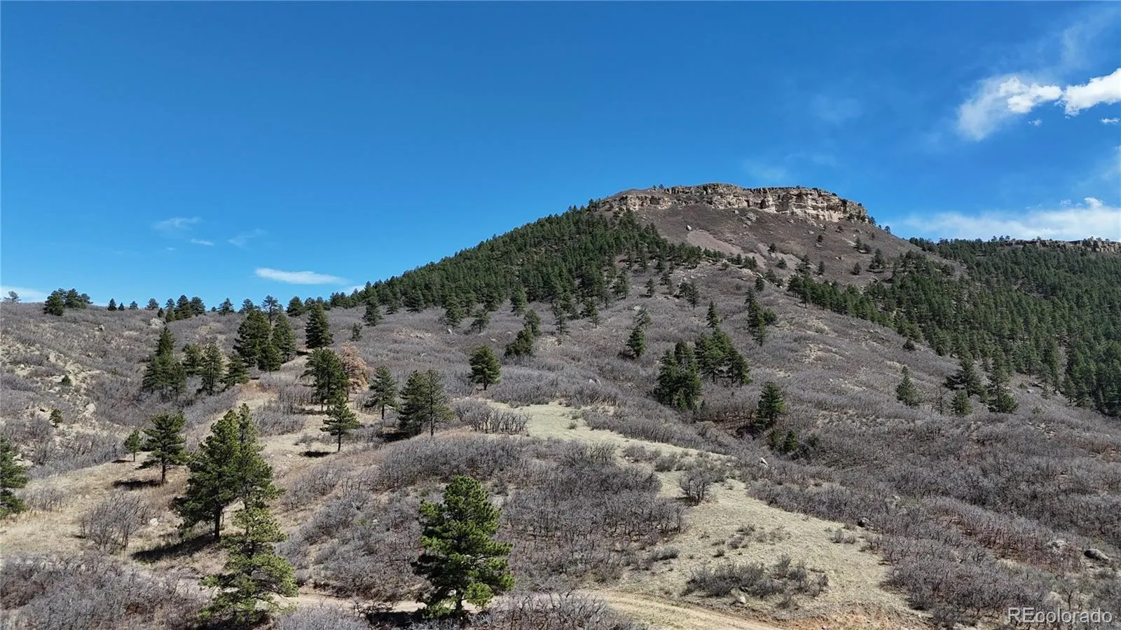 001 Perry Park Road Sedalia CO 80135 | MLS #REC2882410 04142026204228 1600 2