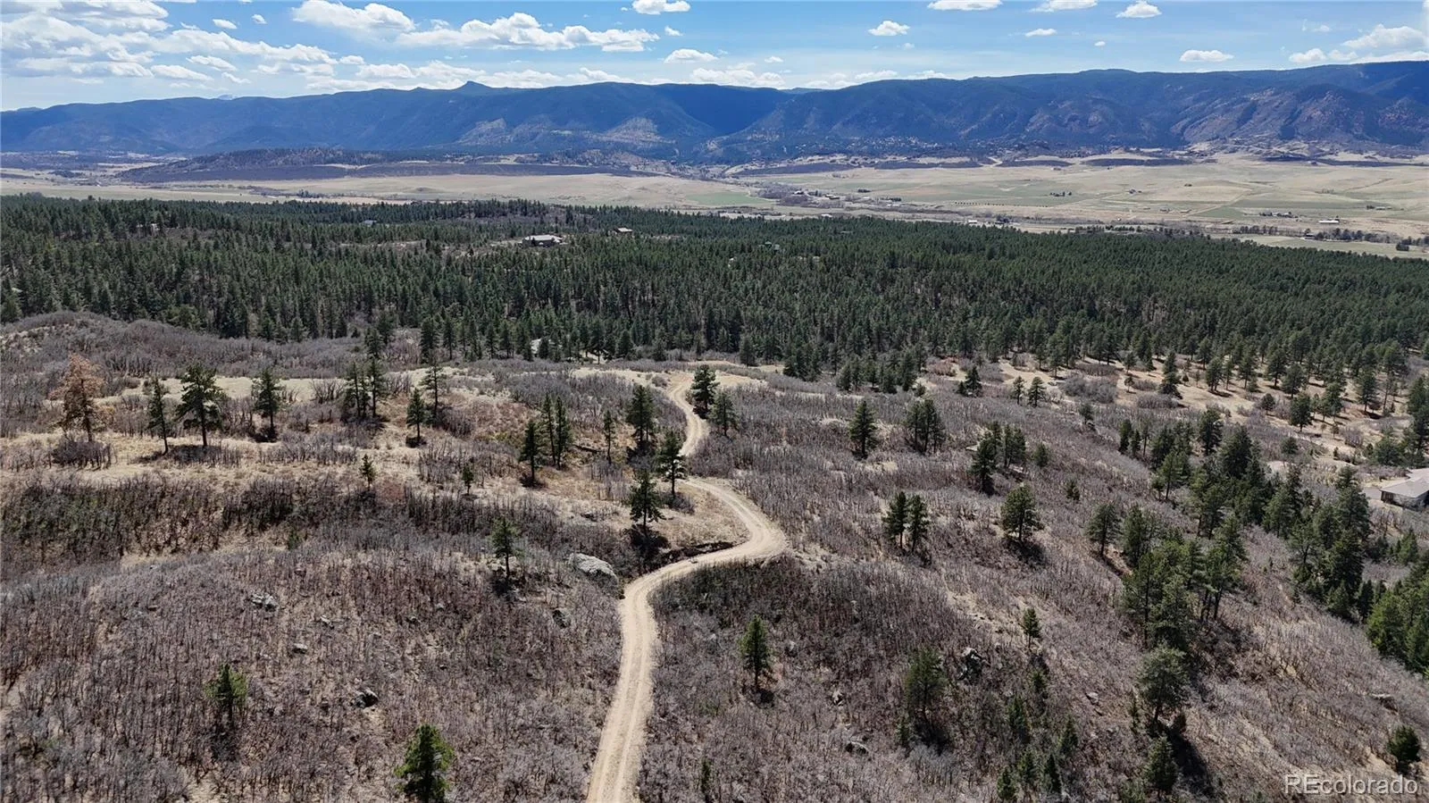 001 Perry Park Road Sedalia CO 80135 | MLS #REC2882410 04142026204228 1600 3