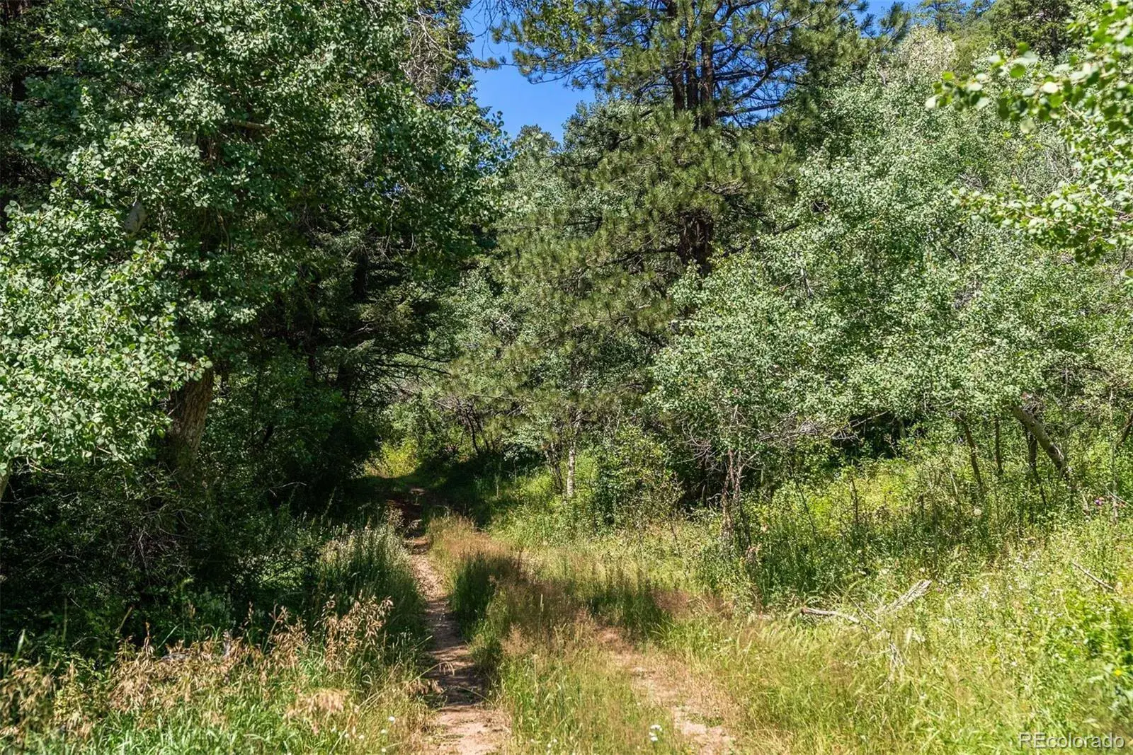 08202025223700 1600 8
