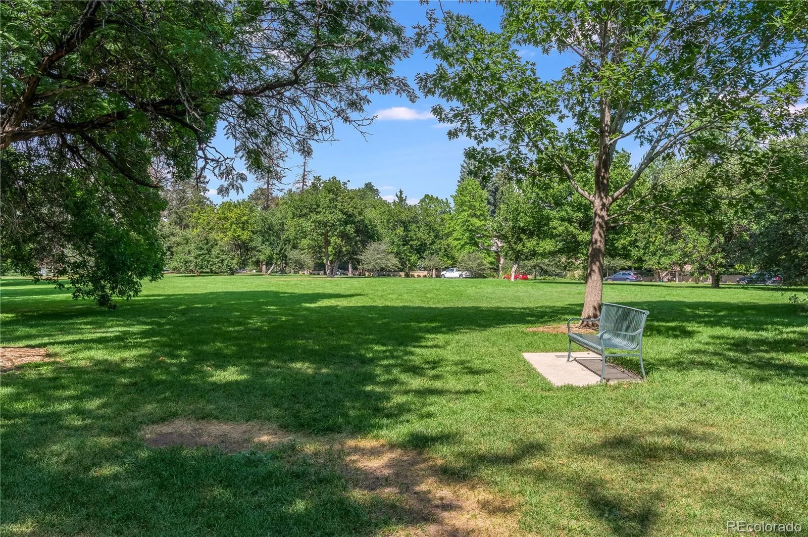 650 N Williams Street Denver CO 80218 | MLS #REC2894421 08052026030232 1600 36