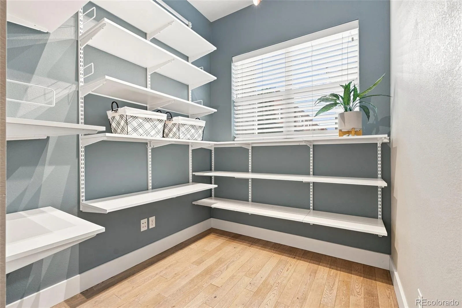 8684 Martin Luther King Jr Boulevard Denver CO 80238 | MLS #REC2894571 08262026165949 1600 14