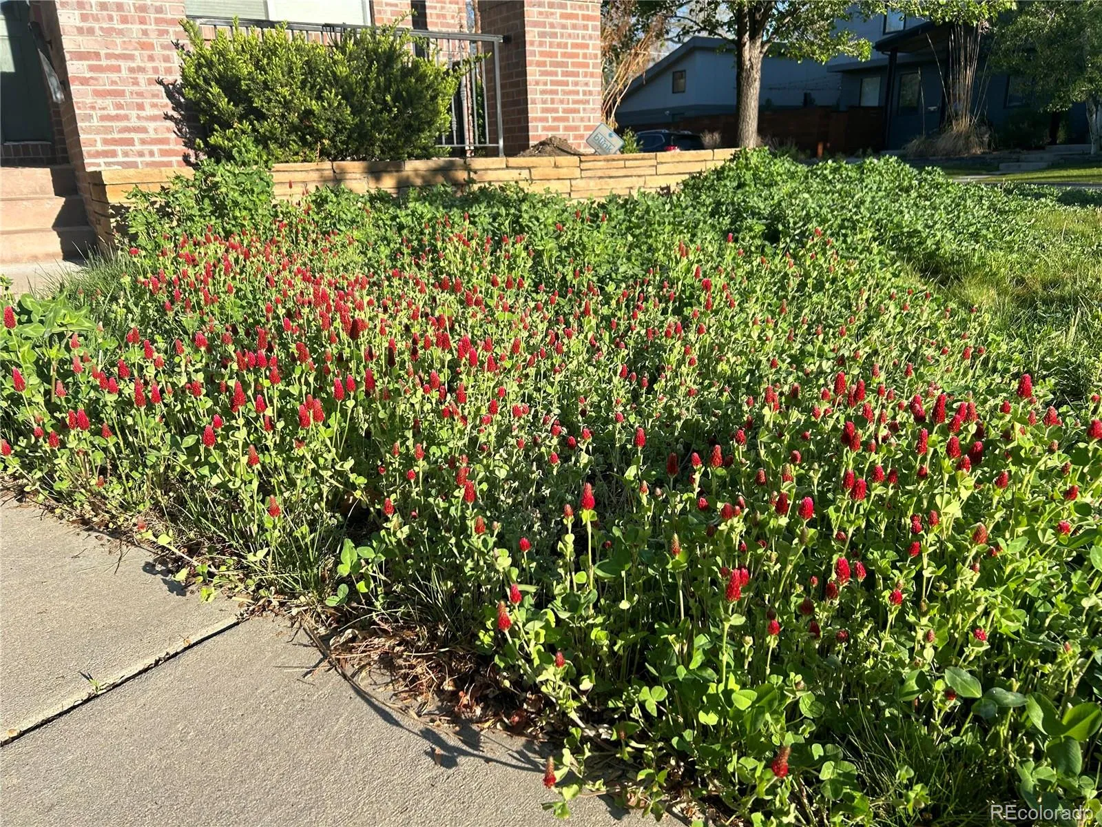 04092026182022 1600 31