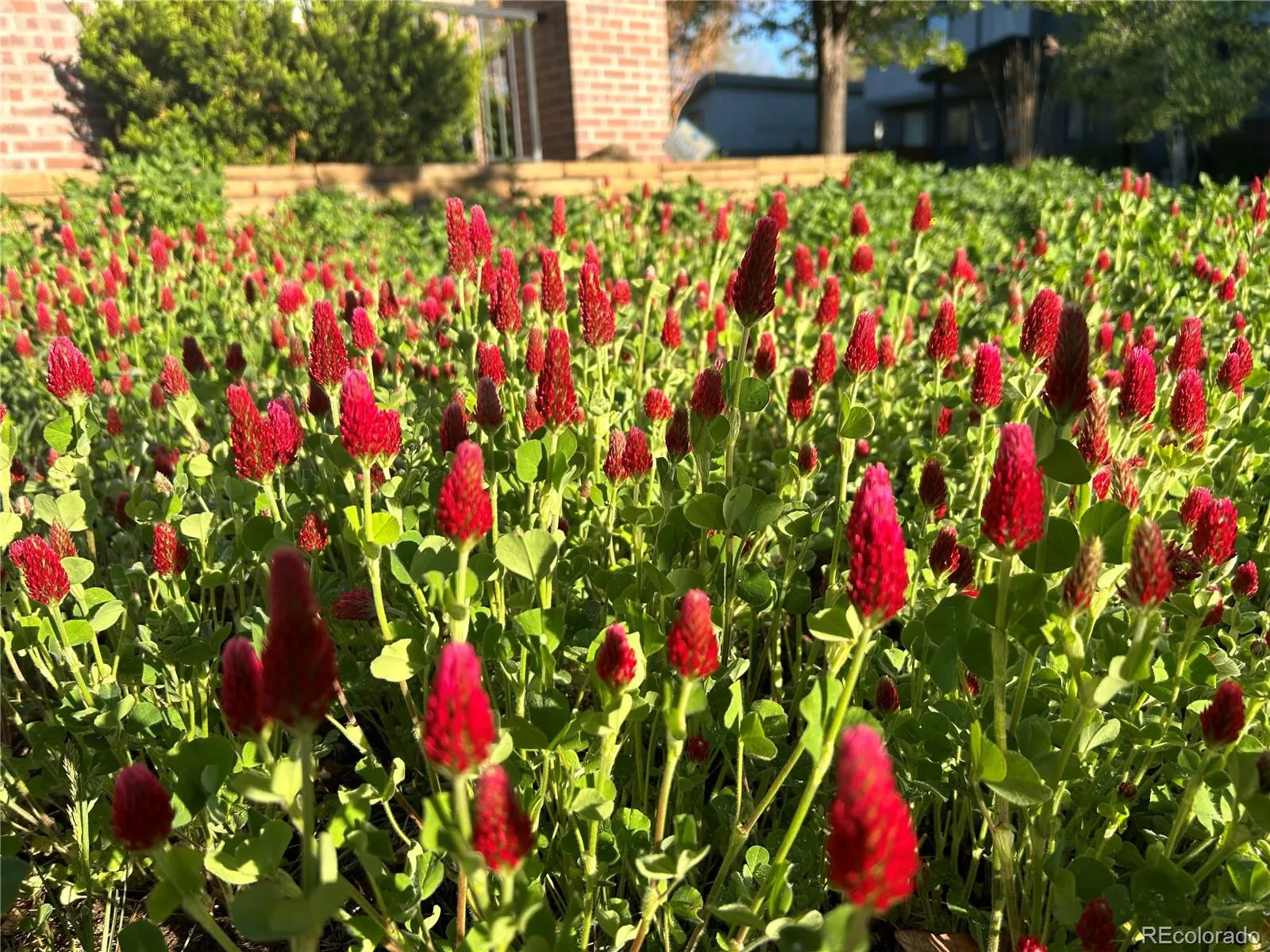 04092026182022 1600 32