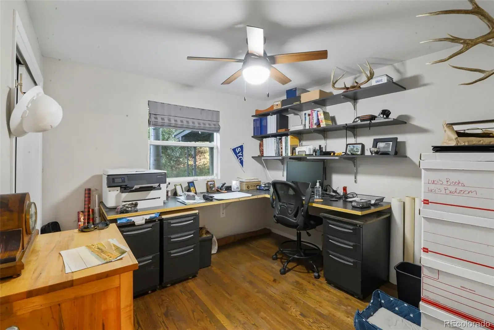 10012025020338 1600 24