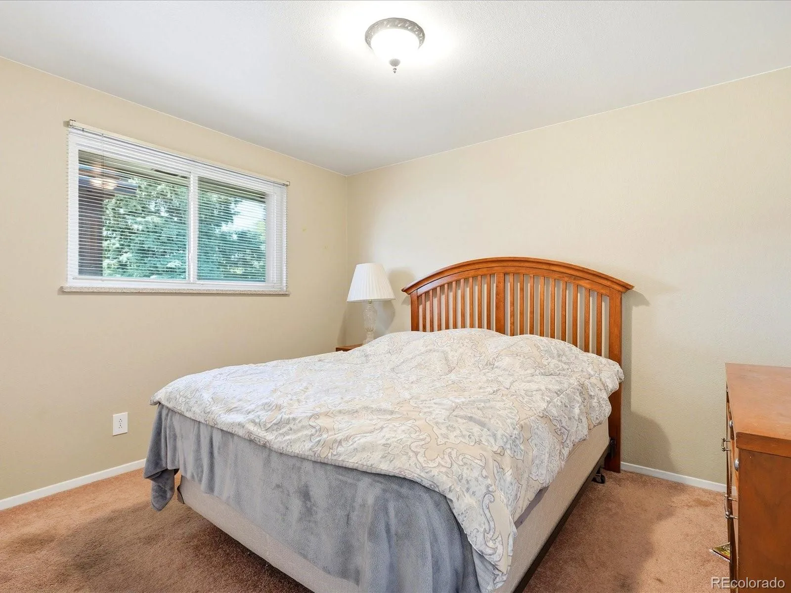 8911 Rutgers Street Westminster CO 80031 | MLS #REC2901084 07252026002457 1600 15