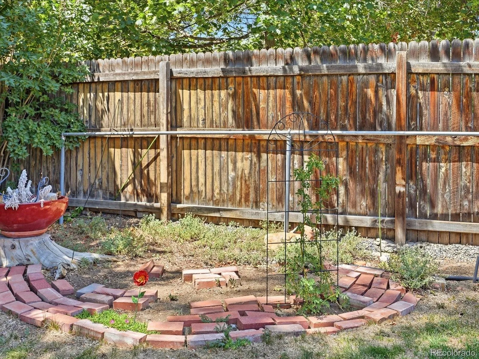 8911 Rutgers Street Westminster CO 80031 | MLS #REC2901084 07252026002457 1600 35