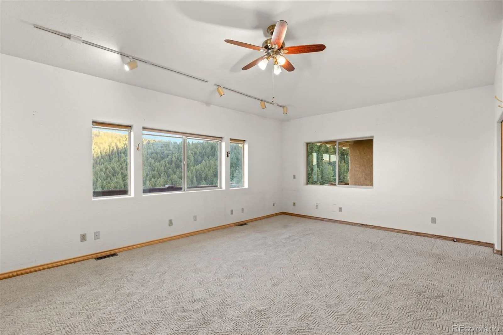 12868 Cottonwood Road Littleton CO 80127 | MLS #REC2903375 07152026203943 1600 18