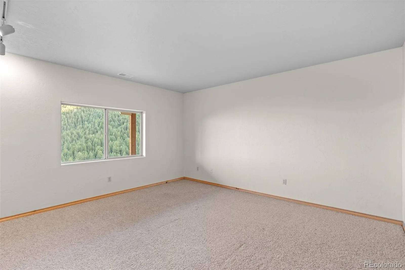 12868 Cottonwood Road Littleton CO 80127 | MLS #REC2903375 07152026203943 1600 23