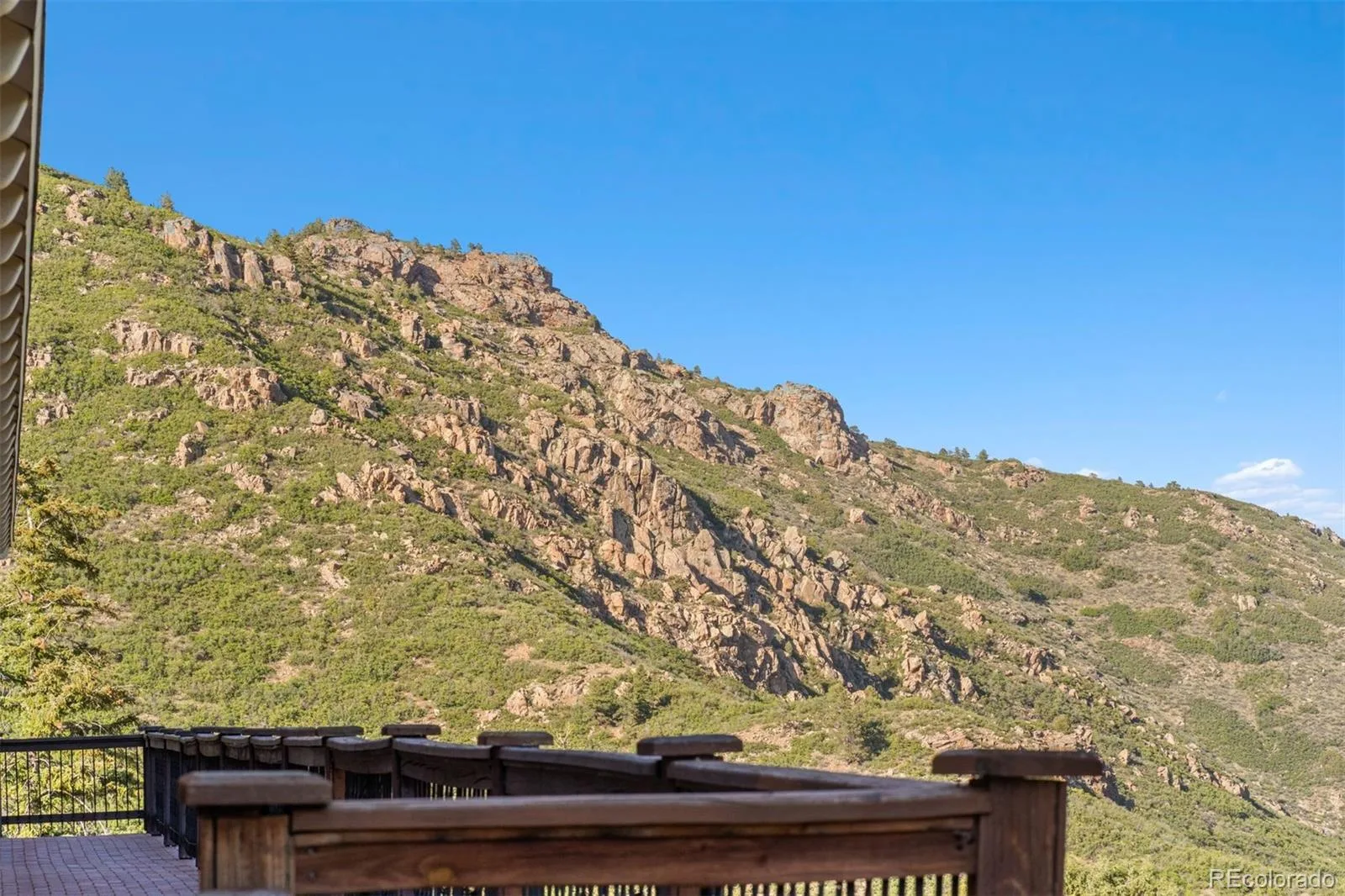 12868 Cottonwood Road Littleton CO 80127 | MLS #REC2903375 07152026203943 1600 30