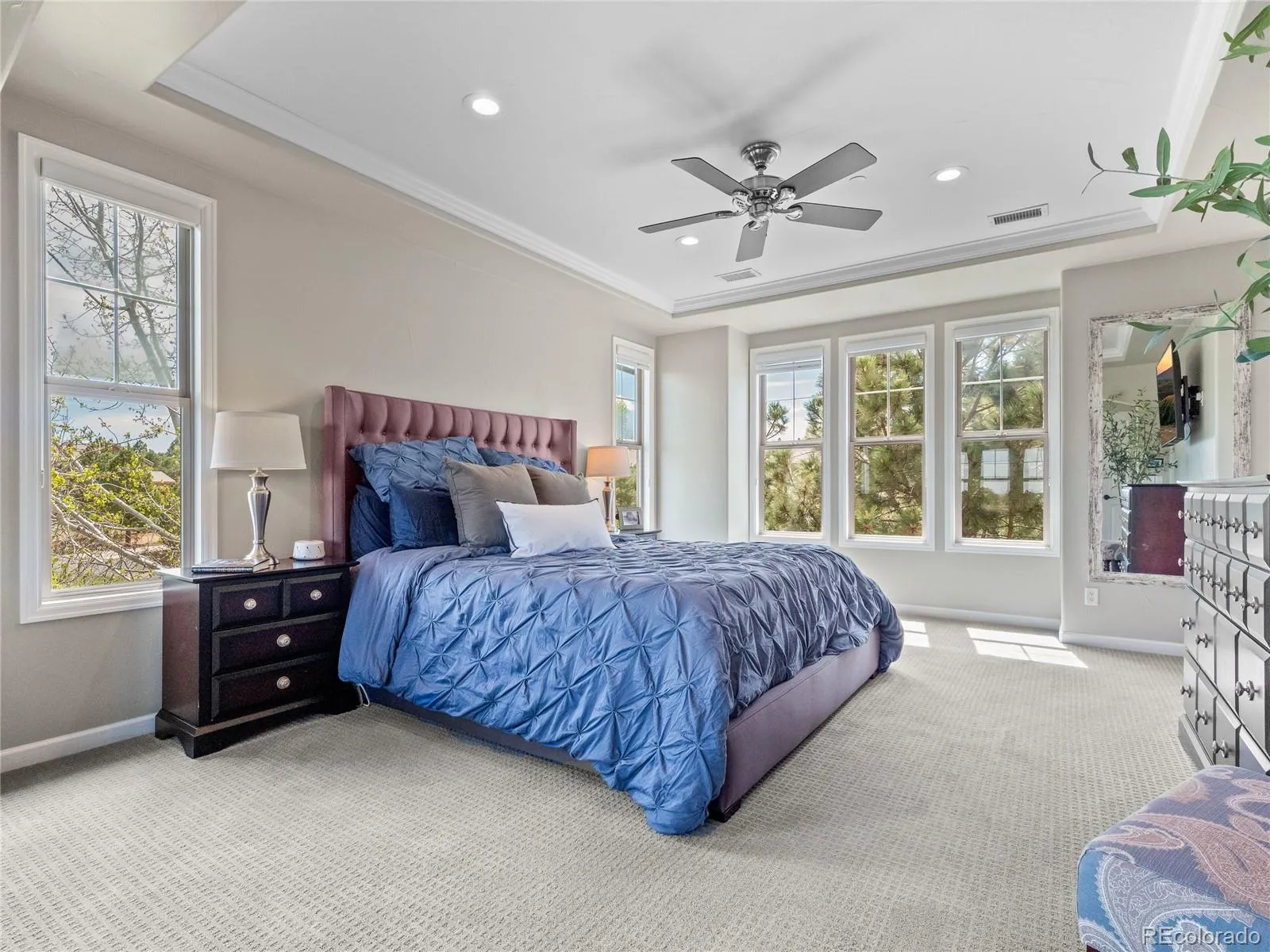 6281 Oxford Peak Place Castle Rock CO 80108 MLS #REC2904929 05252026040858 1600 22