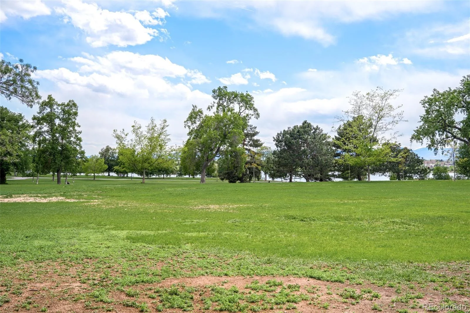3297 Tennyson Street Denver CO 80212 MLS #REC2906274 06092026004143 1600 35