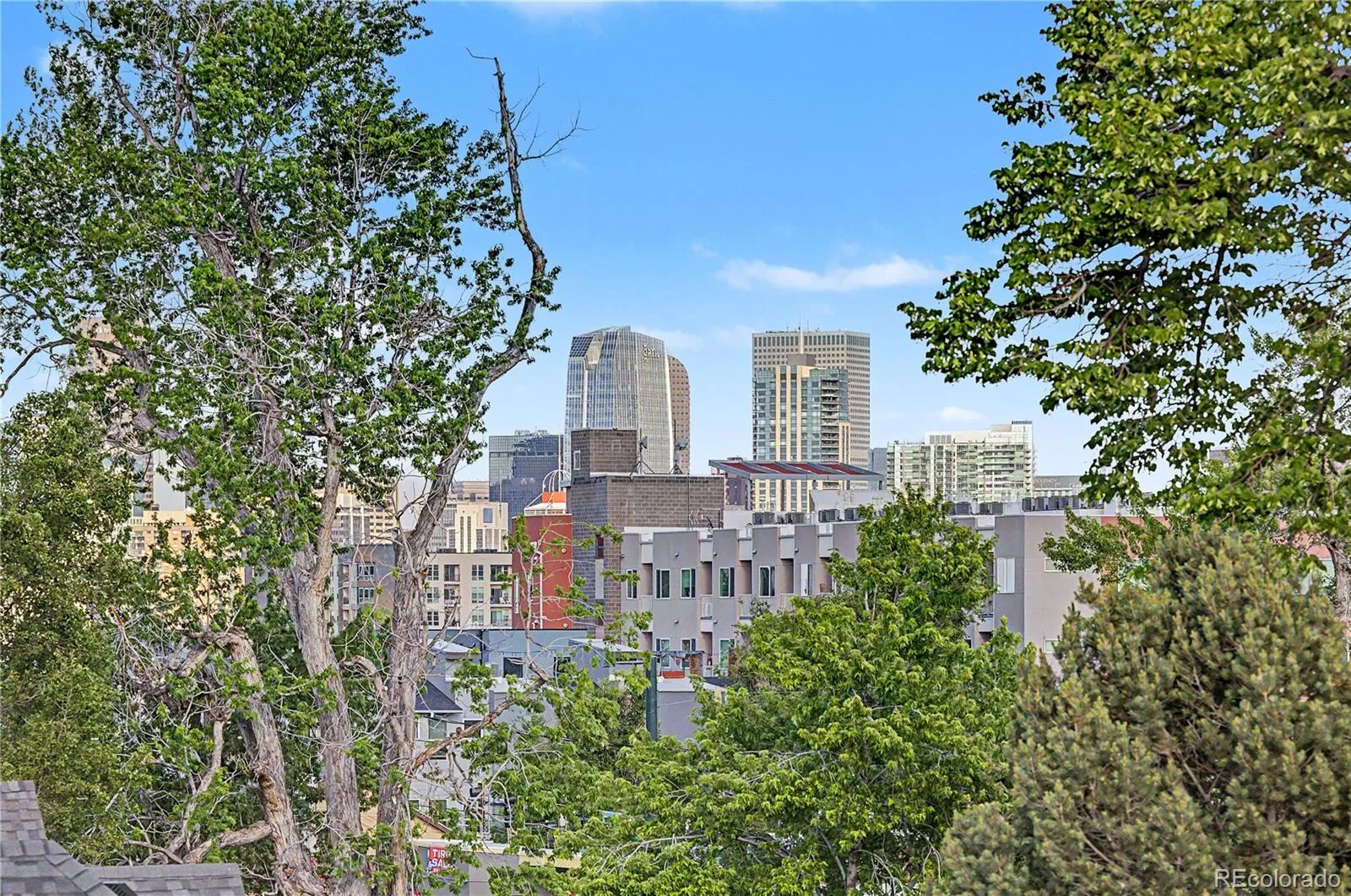 3121 W 26th Avenue Denver CO 80211 MLS #REC2911344 06132026192638 1600 39