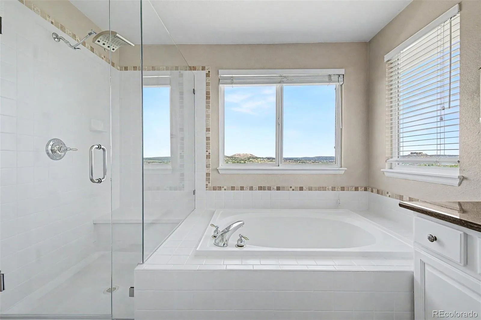 2113 Brierly Court Castle Rock CO 80104 | MLS #REC2913949 06152026194533 1600 27