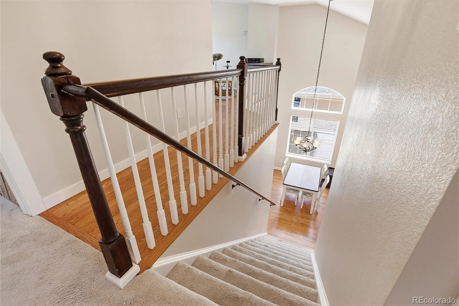 6791 Tiger Walk Lone Tree CO 80124 | MLS #REC2919192 06222026184546 1600 12