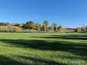 6791 Tiger Walk Lone Tree CO 80124 | MLS #REC2919192 06222026184546 294 38