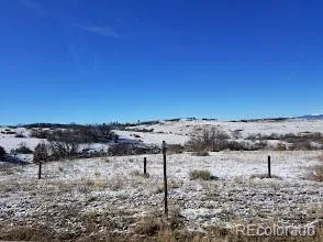 6791 Tiger Walk Lone Tree CO 80124 | MLS #REC2919192 06222026184546 294 40