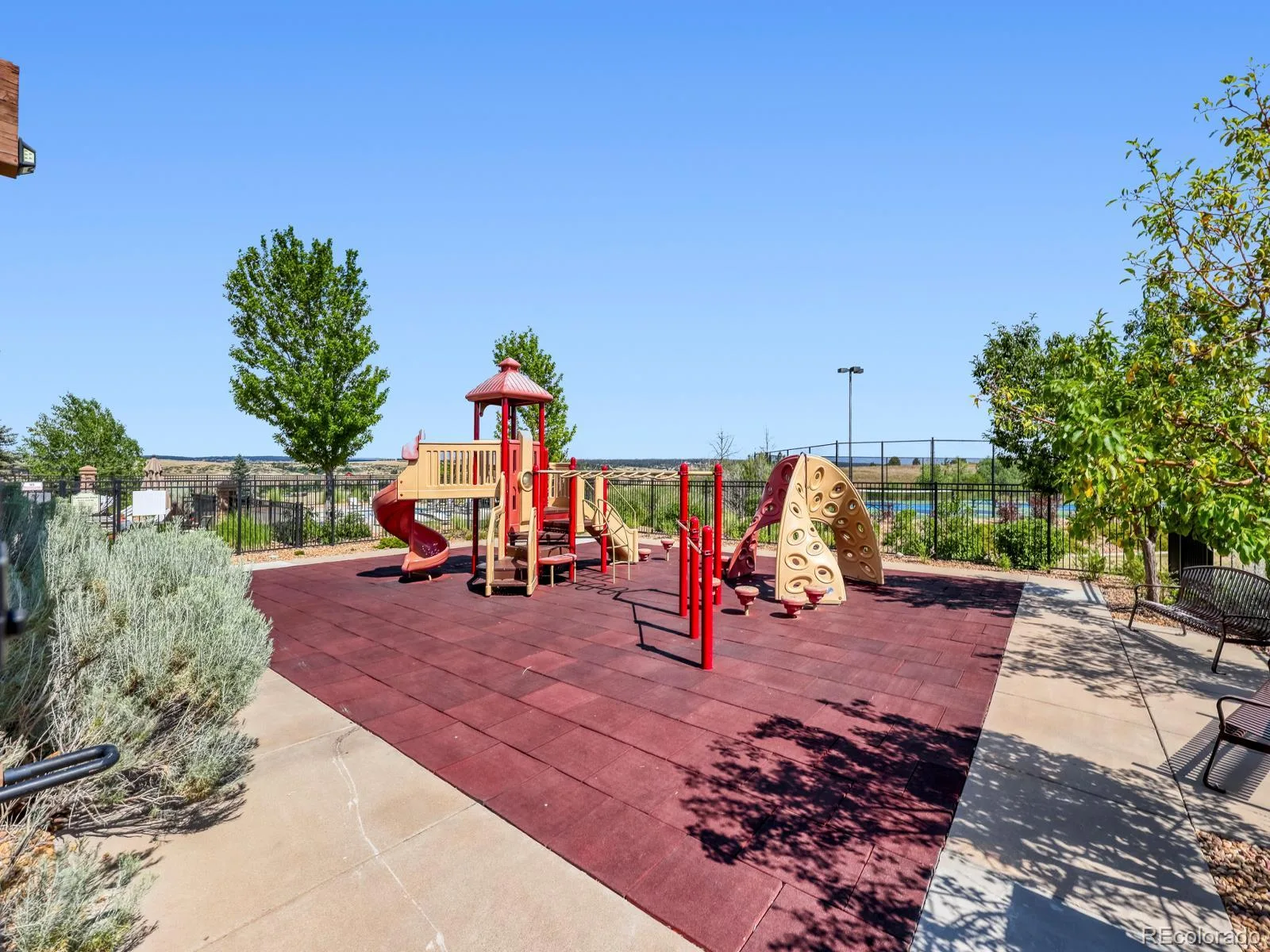 6568 Leilani Lane Castle Rock CO 80108 MLS #REC2925561 07182026143430 1600 40