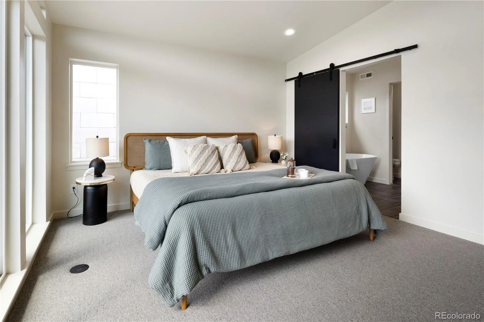 1260 N Stuart Street #2 Denver CO 80204 MLS #REC2940016 06102026075625 1600 28