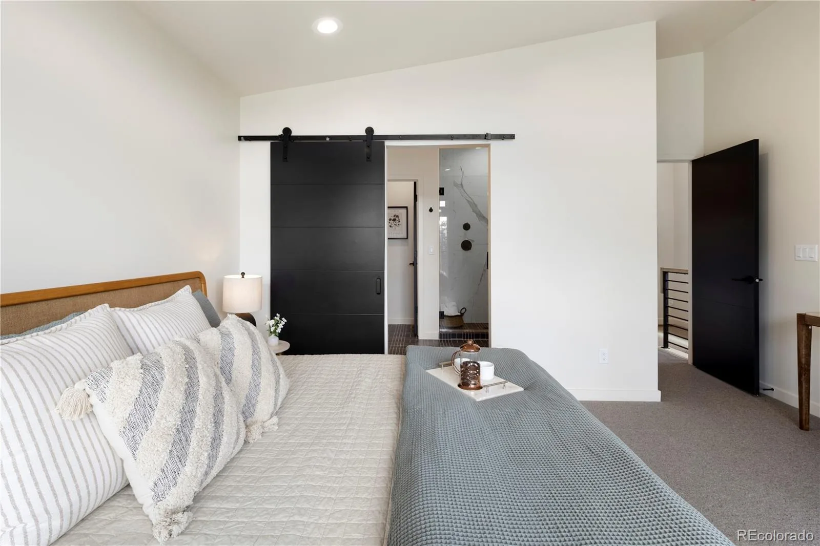 1260 N Stuart Street #2 Denver CO 80204 MLS #REC2940016 06102026075625 1600 29