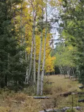 000 Rampart Range Sedalia CO 80135 | MLS #REC2941321 04272023072348 300 1