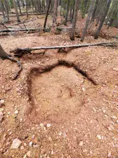 000 Rampart Range Sedalia CO 80135 | MLS #REC2941321 04272023072348 300 5
