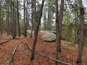 000 Rampart Range Sedalia CO 80135 | MLS #REC2941321 04272023072348 300 6