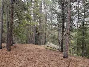 000 Rampart Range Sedalia CO 80135 | MLS #REC2941321 04272023072348 300 7