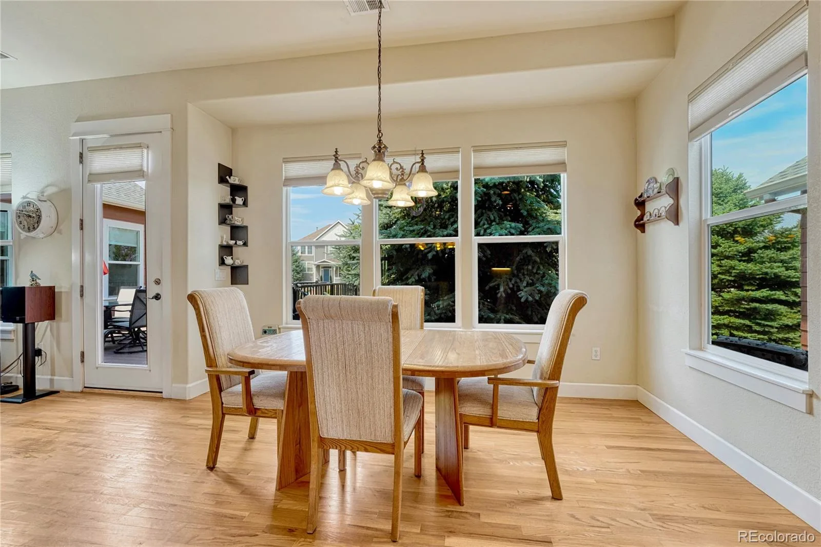 5302 Danvers Court Castle Rock CO 80104 | MLS #REC2944109 08222026132632 1600 10