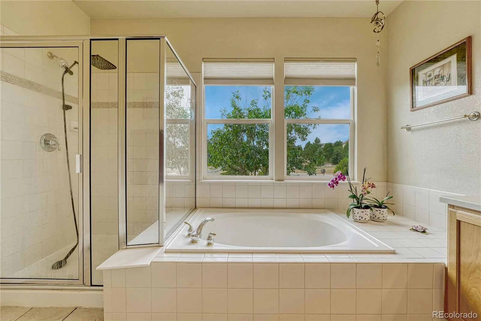 5302 Danvers Court Castle Rock CO 80104 | MLS #REC2944109 08222026132632 1600 25