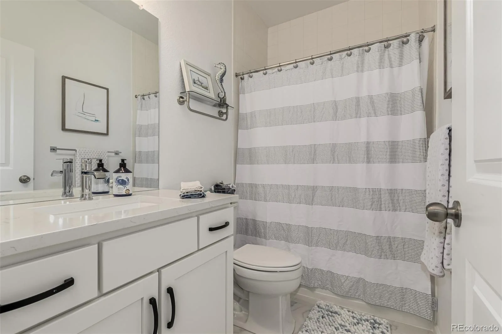 11853 Zebra Grass Way Parker CO 80138 | MLS #REC2945829 07212026173620 1600 17