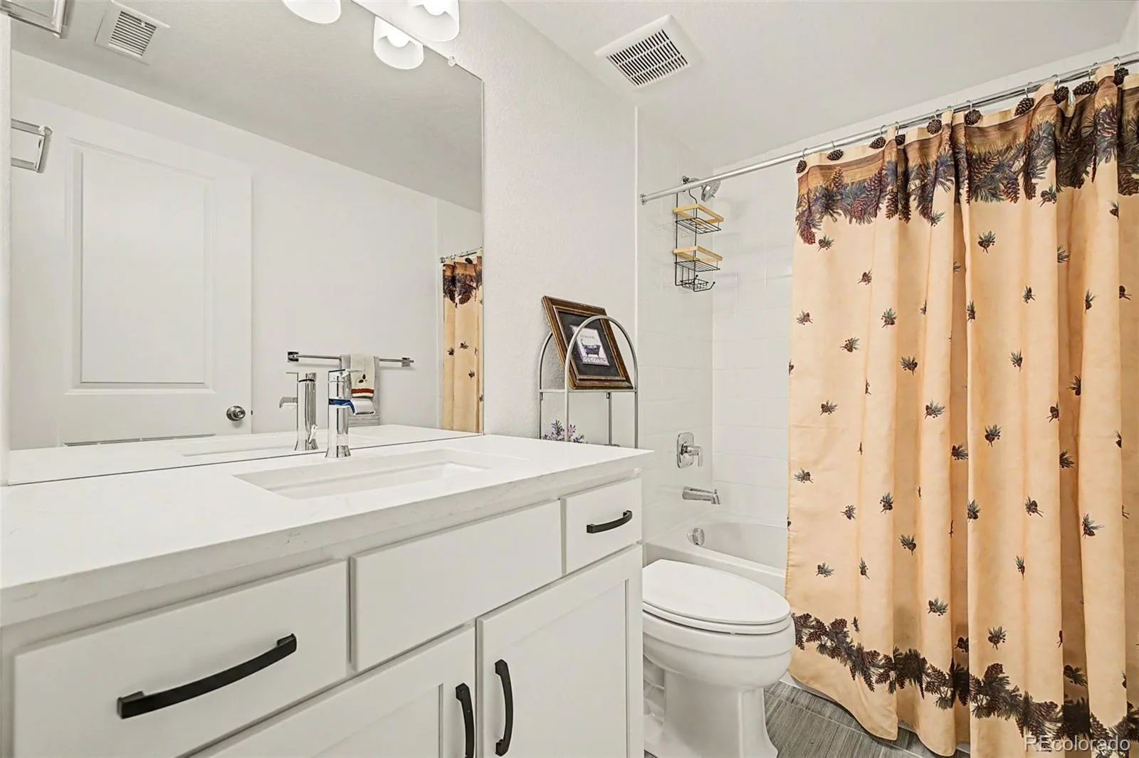 11853 Zebra Grass Way Parker CO 80138 | MLS #REC2945829 07212026173620 1600 26