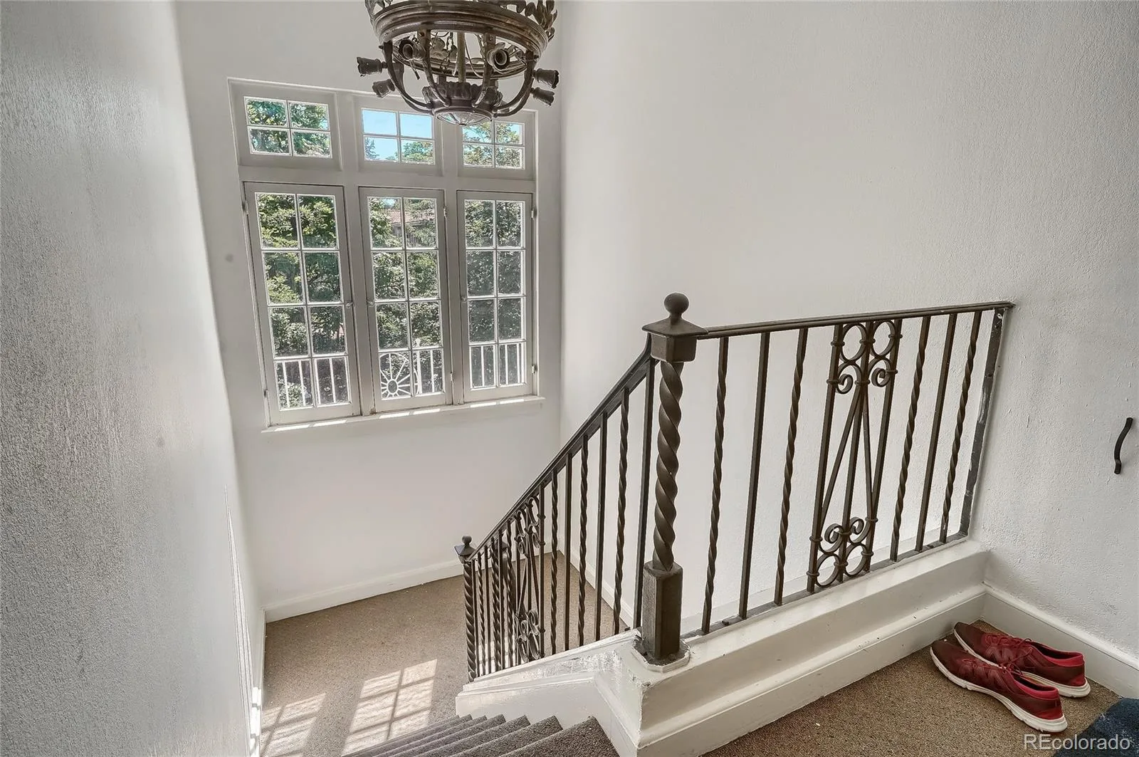 955 N Washington Street #7 Denver CO 80203 | MLS #REC2949108 09232026094426 1600 19