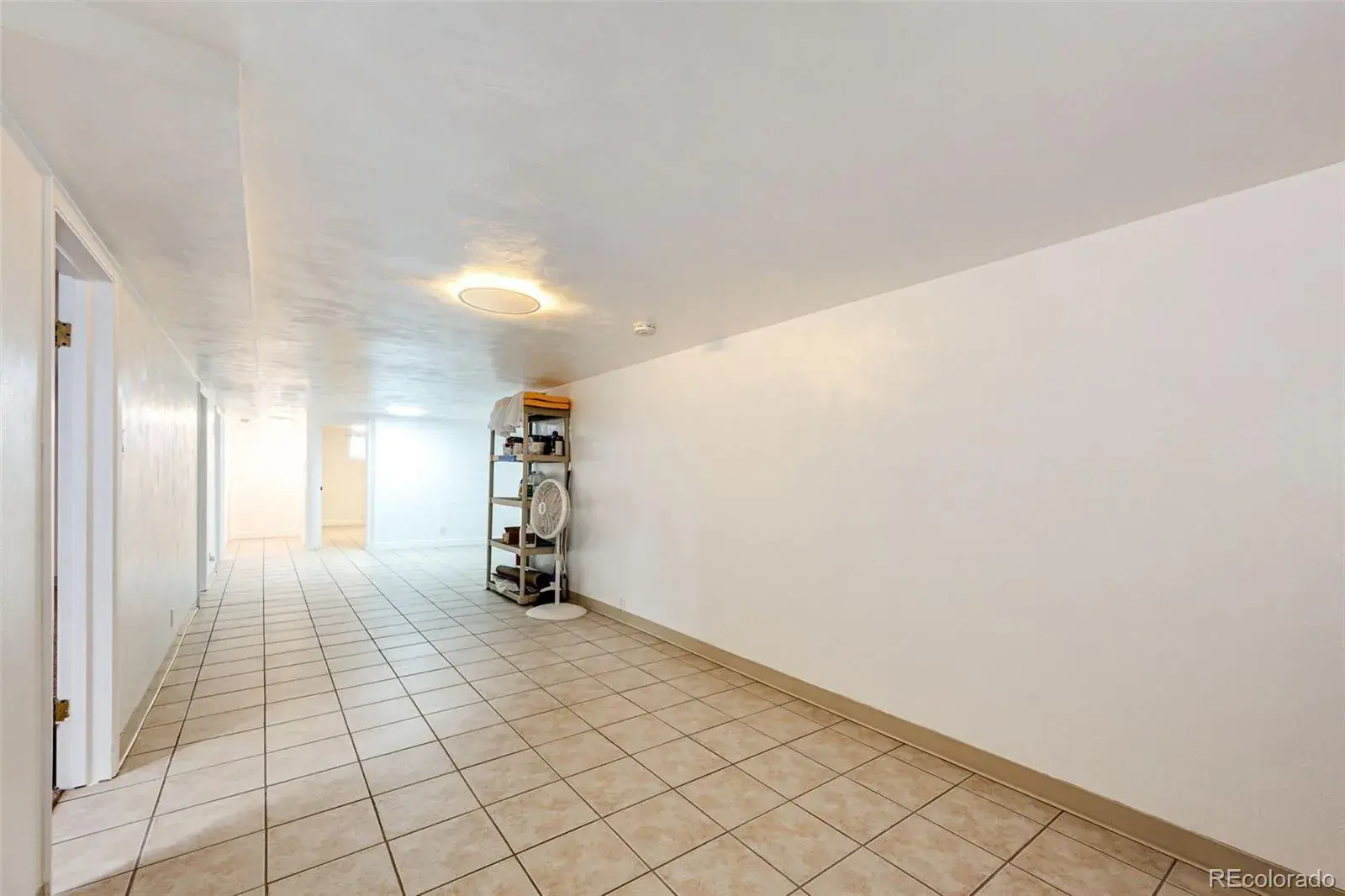 02172026004827 1600 24