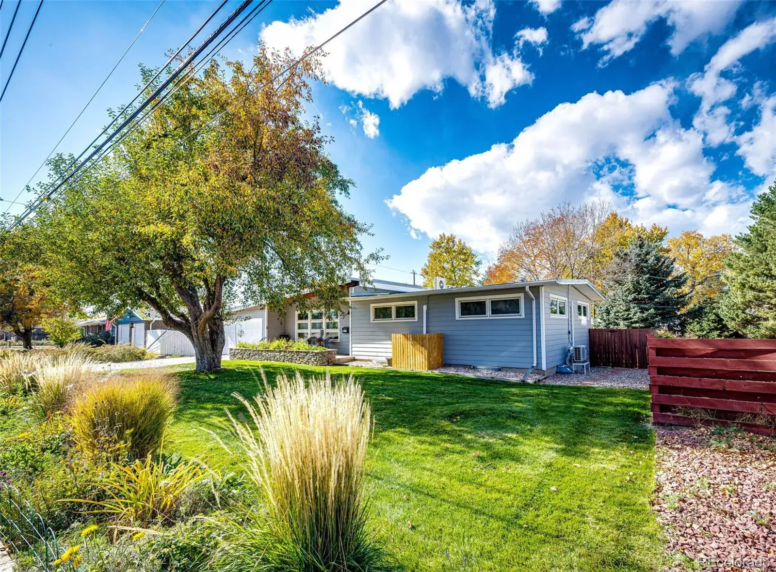 02172026004827 1600 6