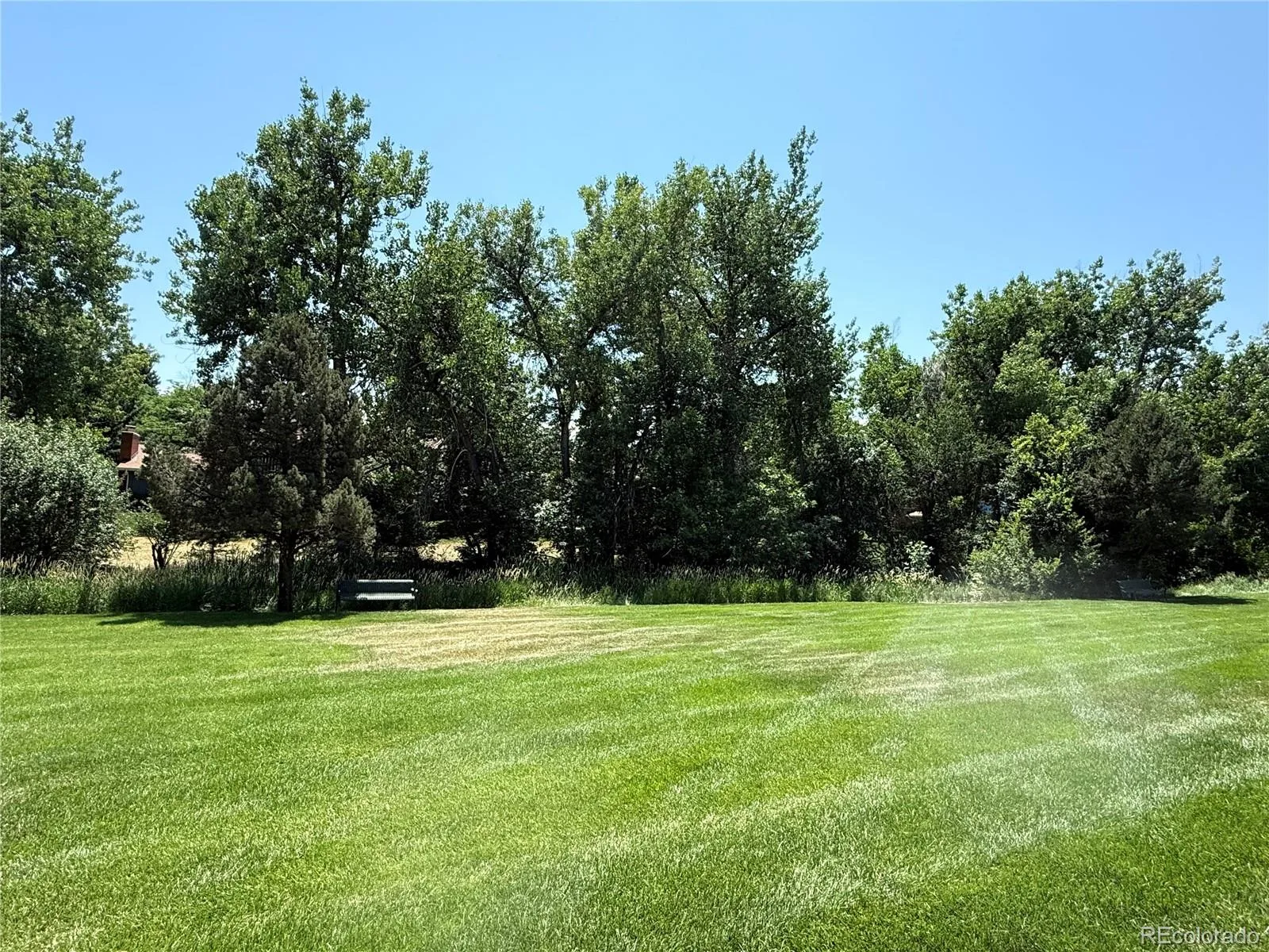 442 Vance Street #7 Denver CO 80226 | MLS #REC2970254 07062026001732 1600 2
