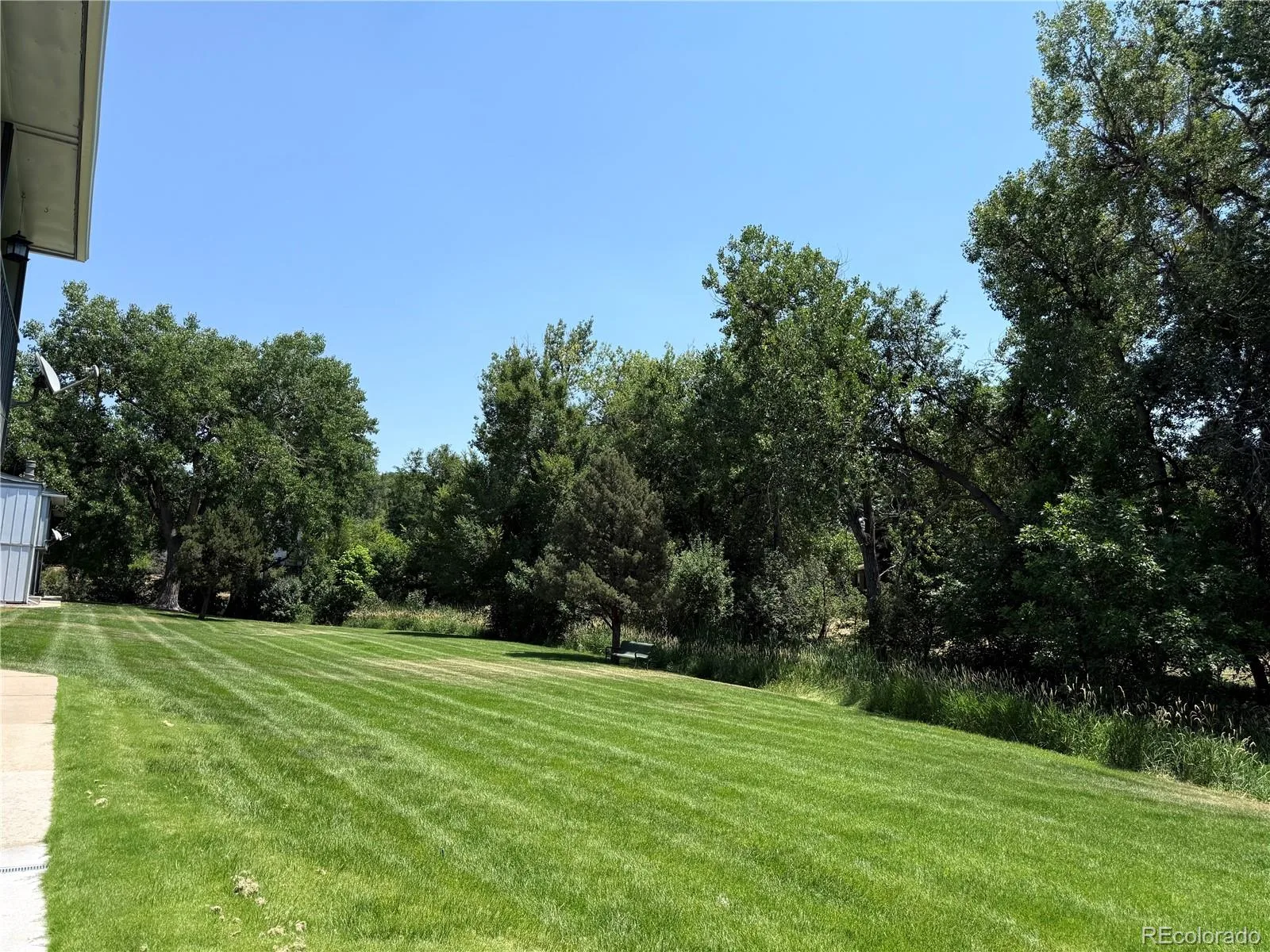 442 Vance Street #7 Denver CO 80226 | MLS #REC2970254 07062026001732 1600 26