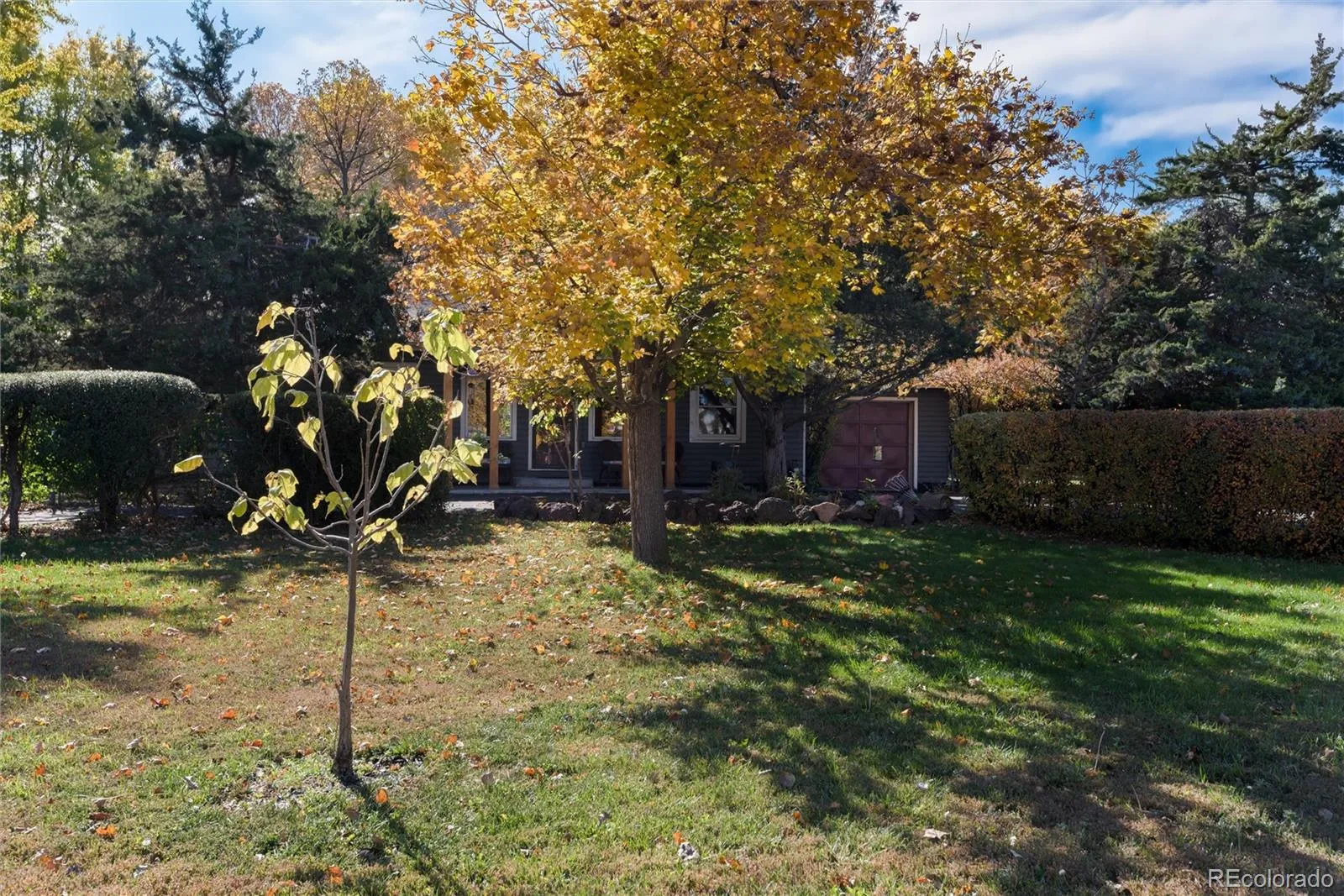 7800 W 20th Avenue Lakewood CO 80214 | MLS #REC2976390 07152026221649 1600 12