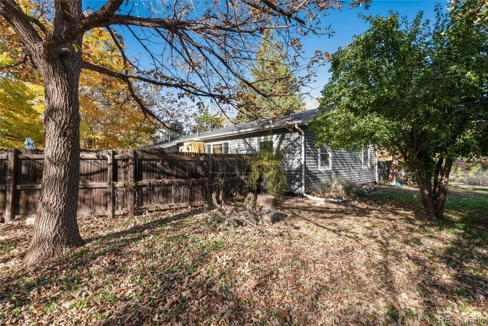 7800 W 20th Avenue Lakewood CO 80214 | MLS #REC2976390 07152026221649 1600 31
