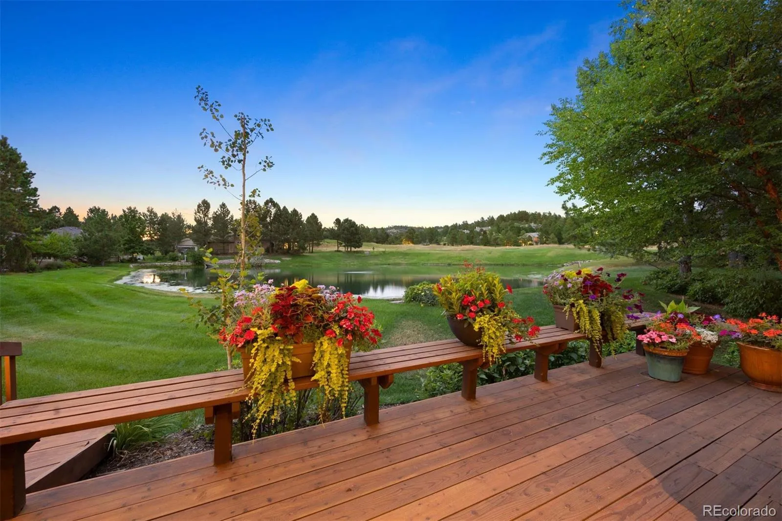 3209 Country Club Parkway Castle Rock CO 80108 MLS #REC2987906 05122026160642 1600 12