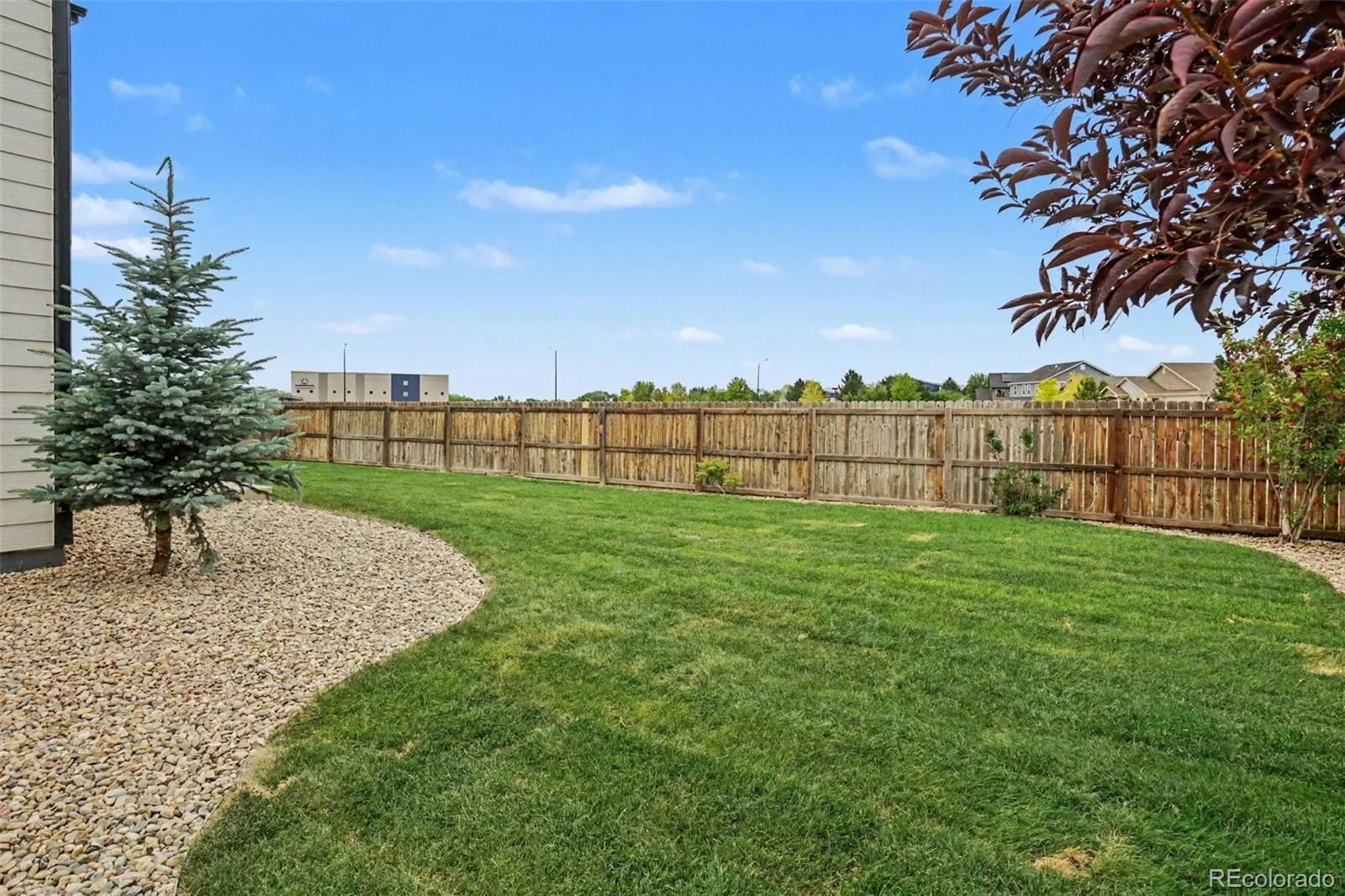 6601 Catalpa Court Frederick CO 80530 | MLS #REC2990581 08282026030228 1600 32