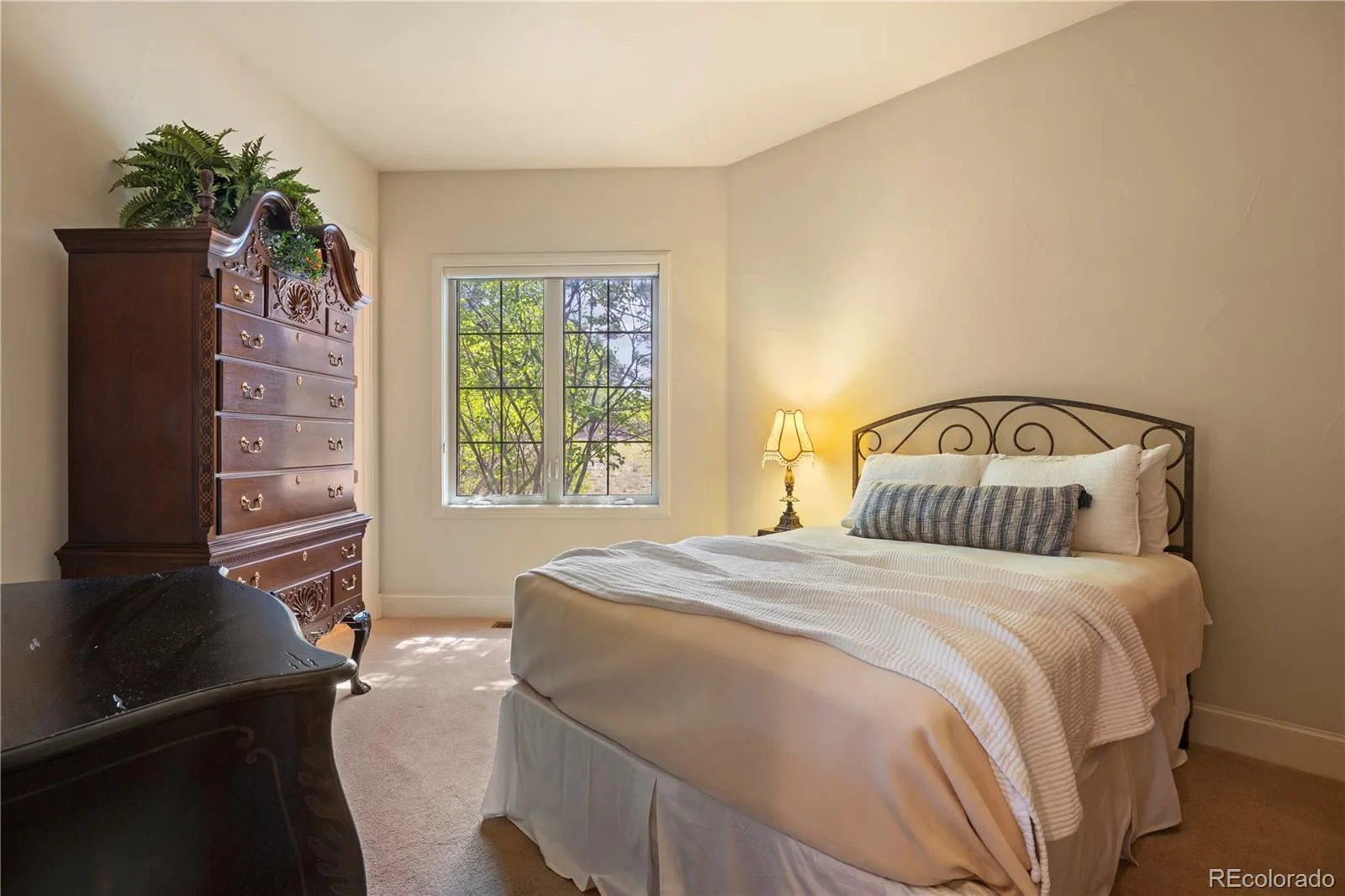 5112 Pine River Trail Castle Rock CO 80108 | MLS #REC2990689 08182026231640 1600 29