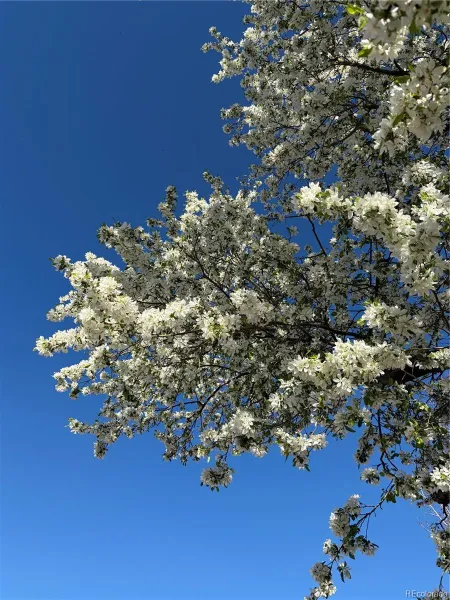 05202026194347 800 16