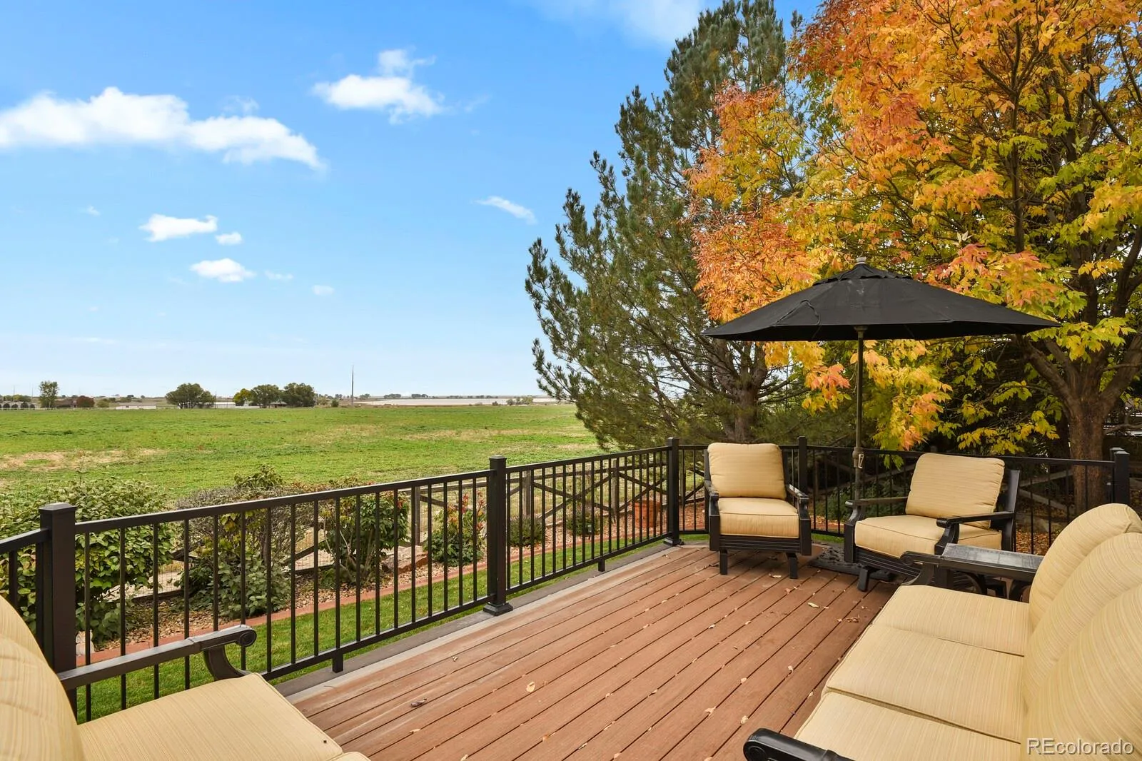 1720 Twilight Court Longmont CO 80504 MLS #REC2993212 05022026055812 1600 35