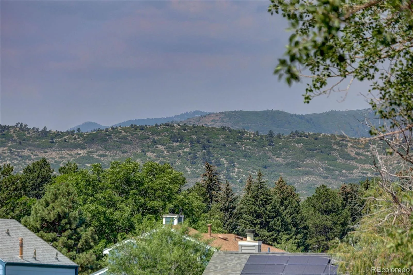 9816 W Friend Place Littleton CO 80128 | MLS #REC2994861 06242026225826 1600 44