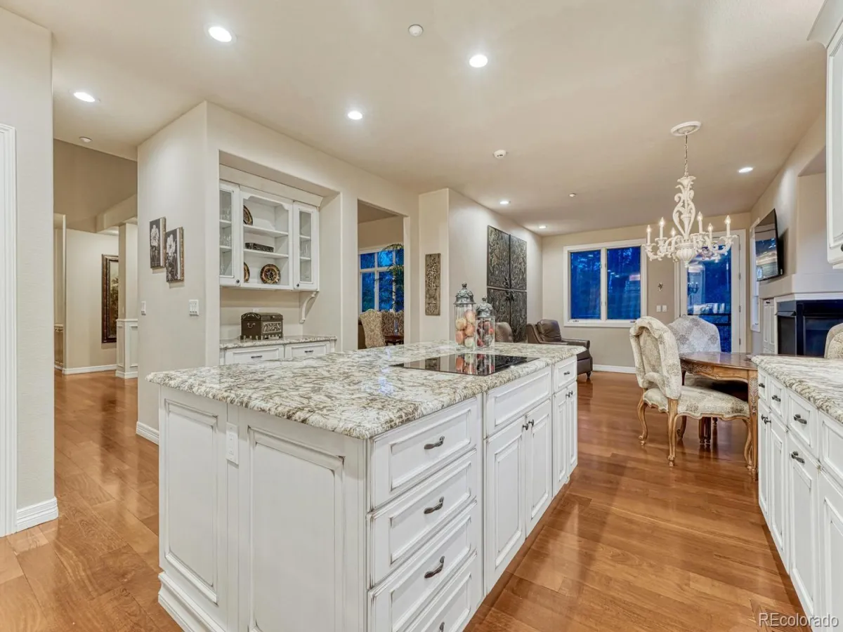 4537 Silver Dale Court Castle Rock CO 80108 MLS #REC2995903 04262026001915 1200 14